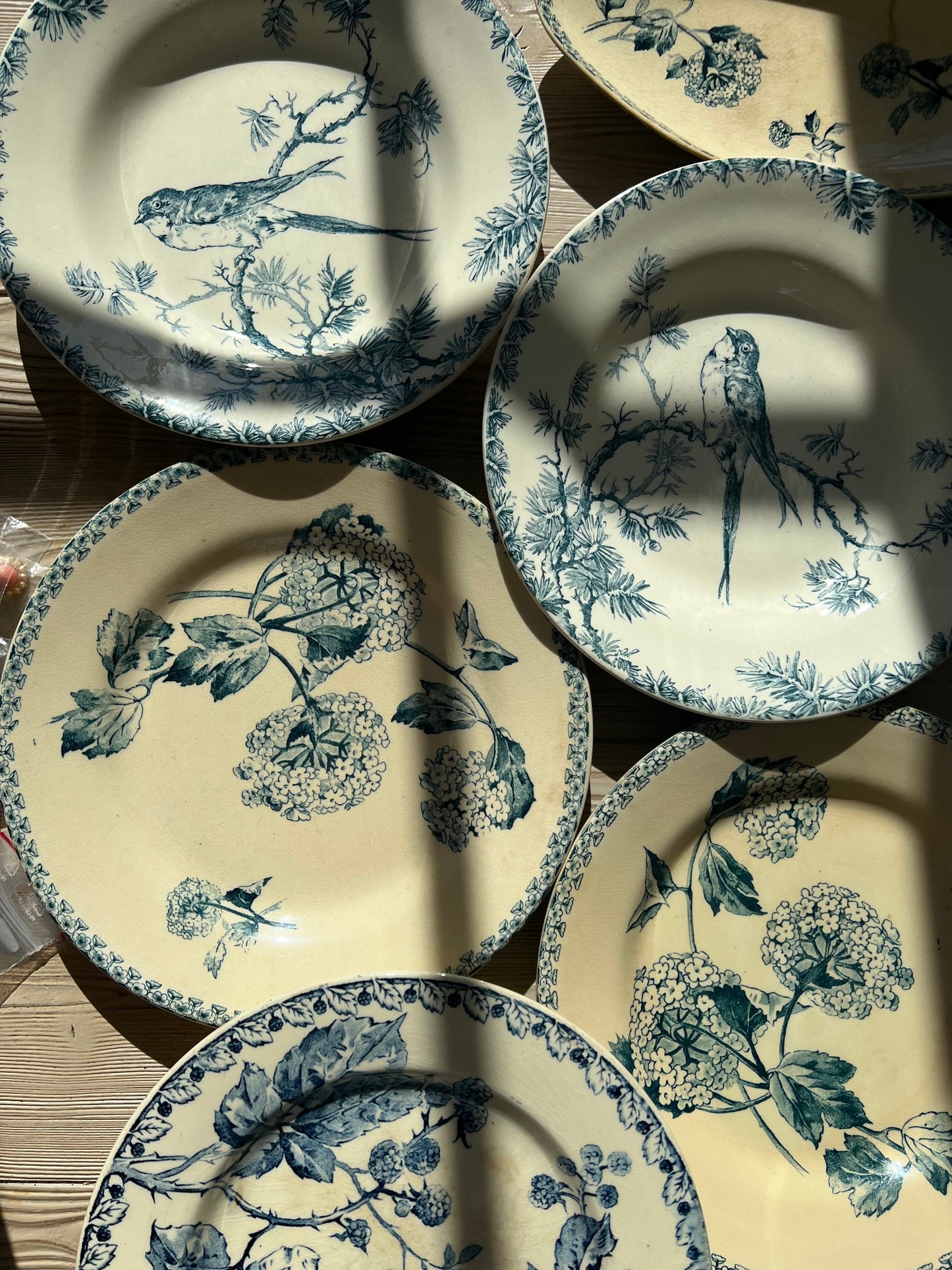 Set of 6 French Ironstone Soup Plates "Provençal" by Gien