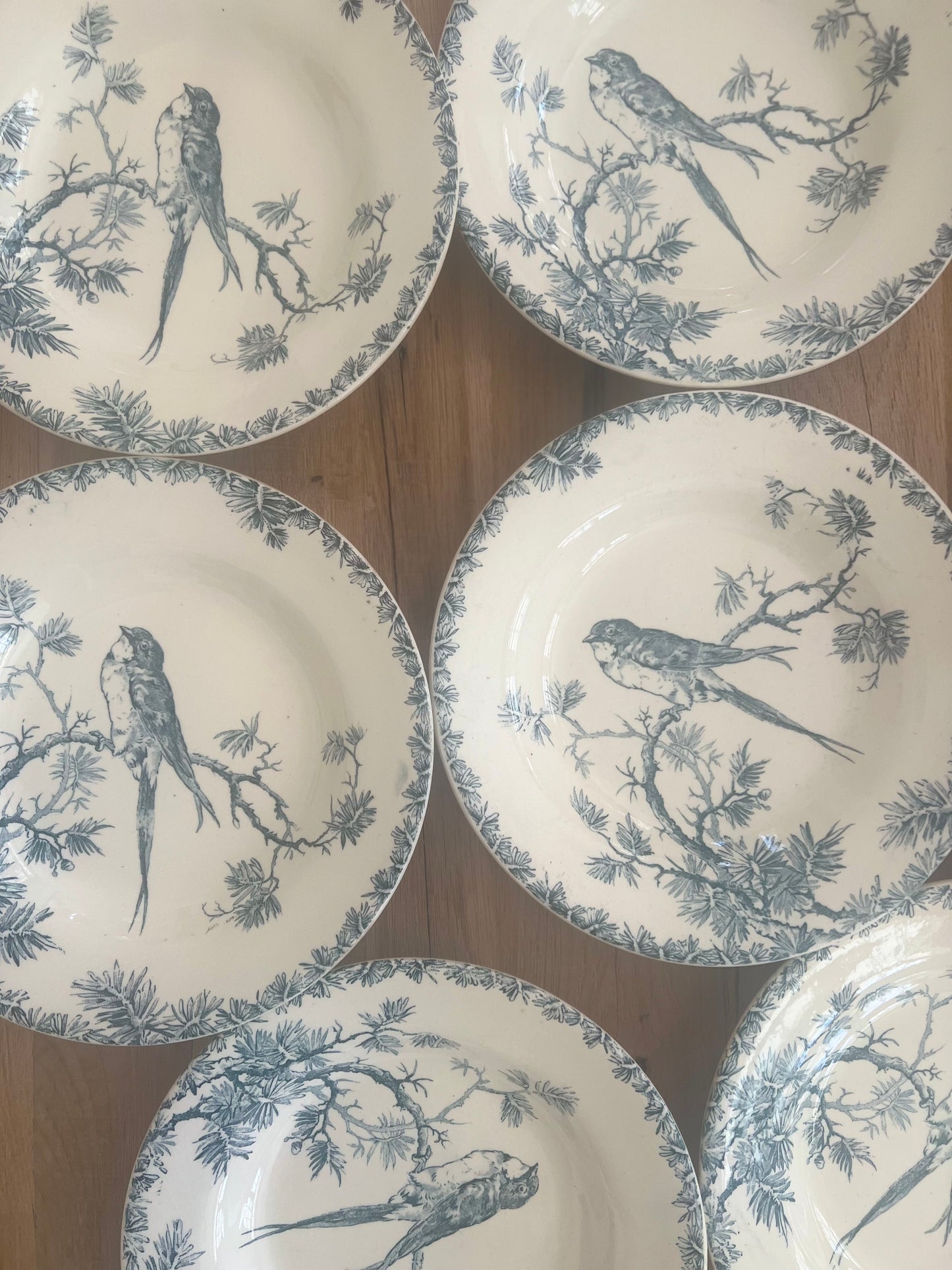 Set of 6 French Ironstone Soup Plates "Provençal" by Gien