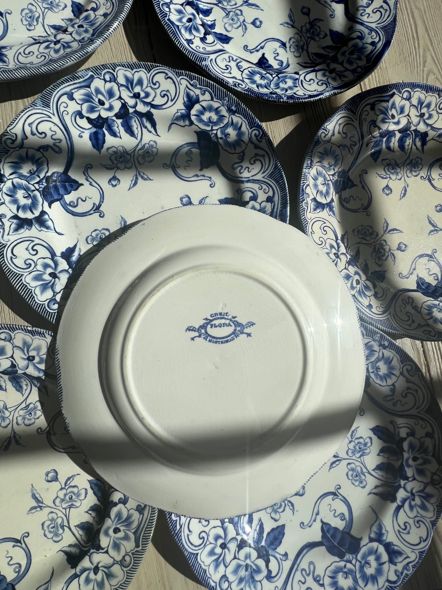Set of 8 Antique French Ironstone Salad Plates “Flora” by Creil et Montereau