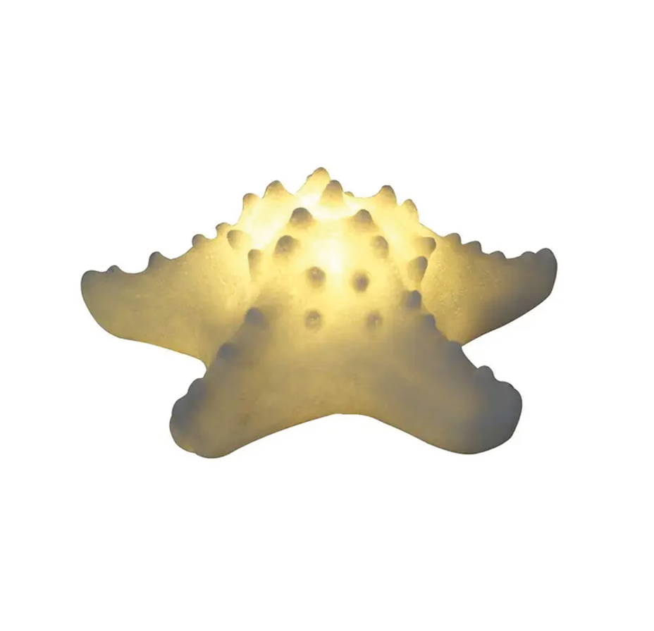 Sandtstone Starfish Light Box
