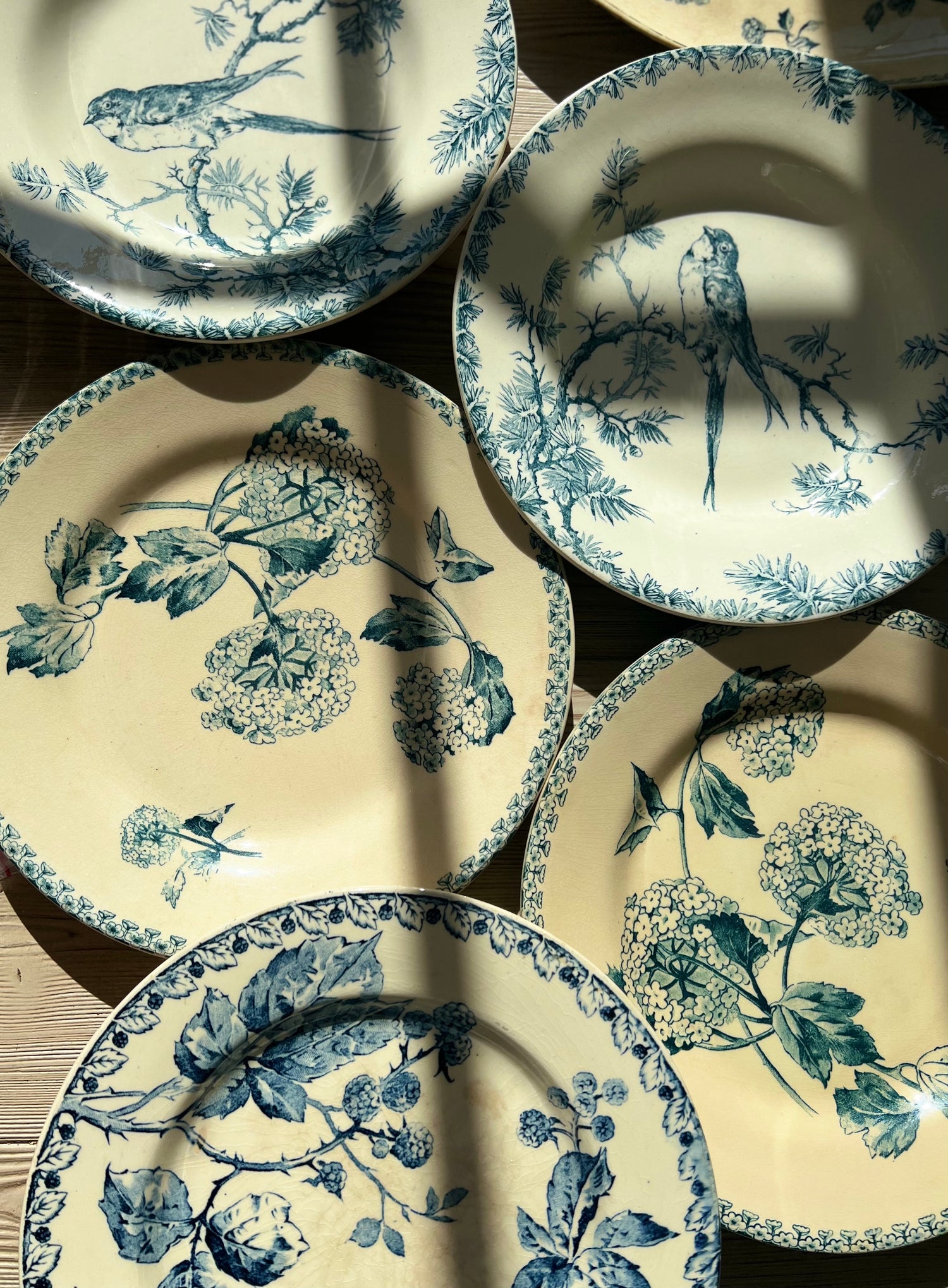 A Journey to 19th Century France : Antique Ironstone Dinnerware