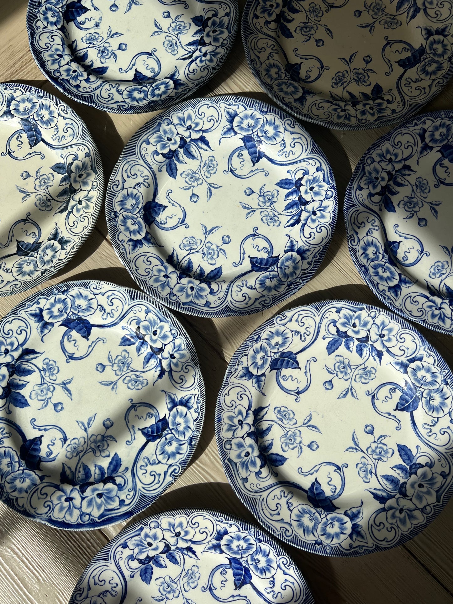 Set of 8 Antique French Ironstone Salad Plates “Flora” by Creil et Montereau