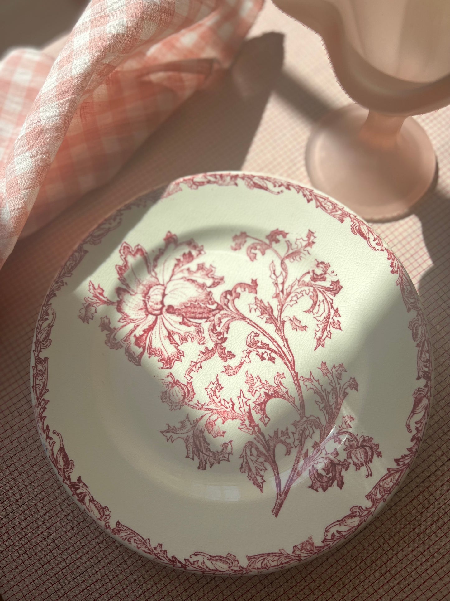 Set of 2 French Ironstone Salad Plates by Datura Jules Vieillard