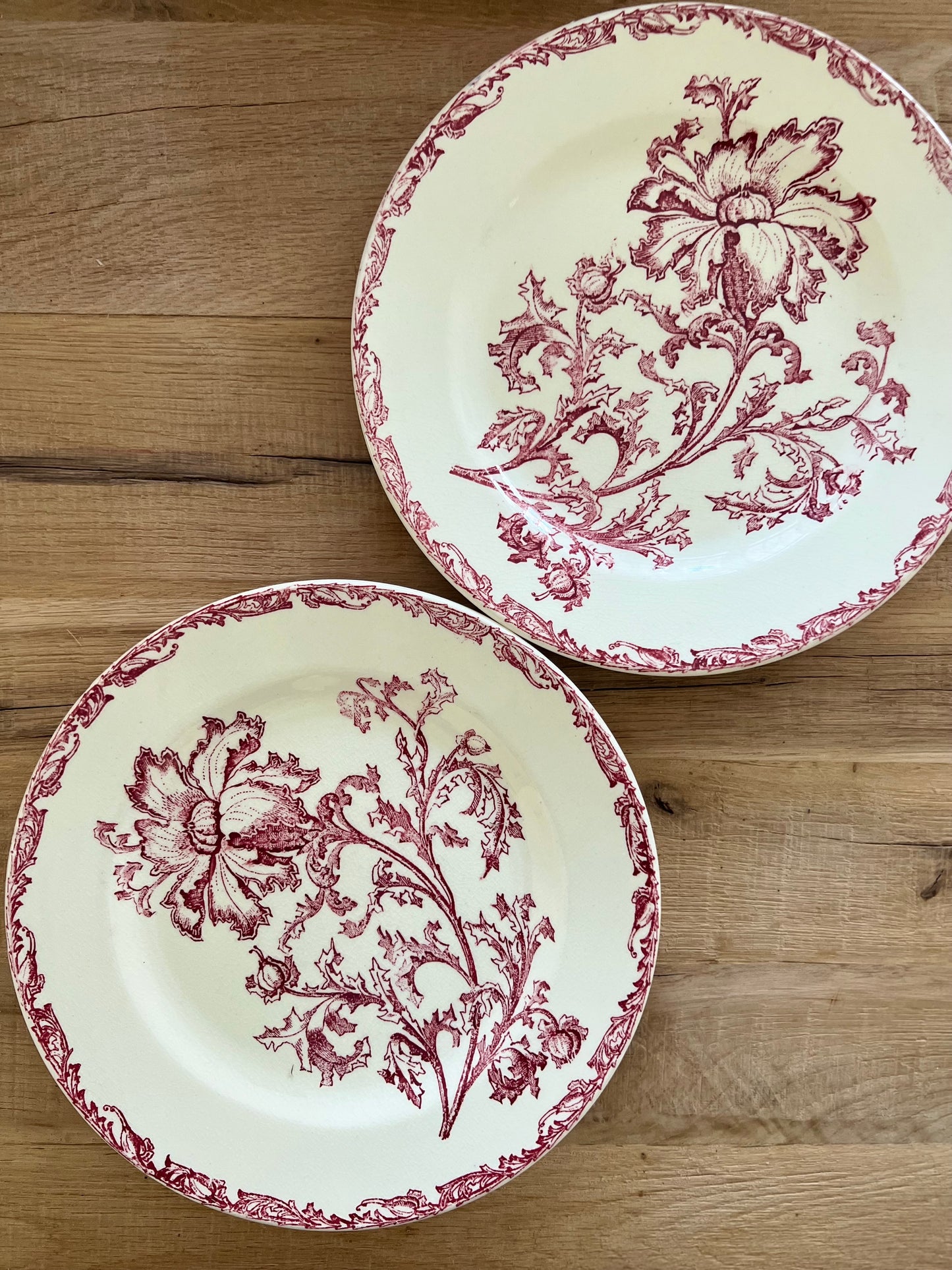 Set of 2 French Ironstone Salad Plates by Datura Jules Vieillard