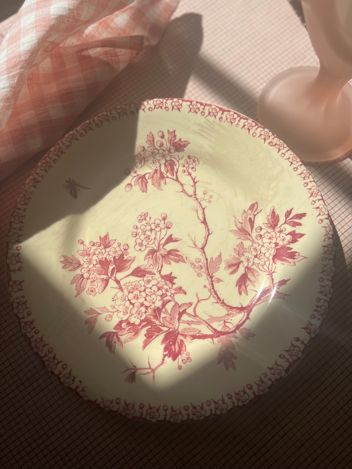 French Ironstone Salad Plate "Aubépines" by Gien