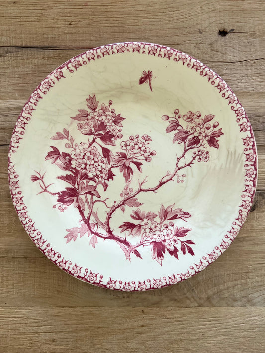 French Ironstone Salad Plate "Aubépines" by Gien