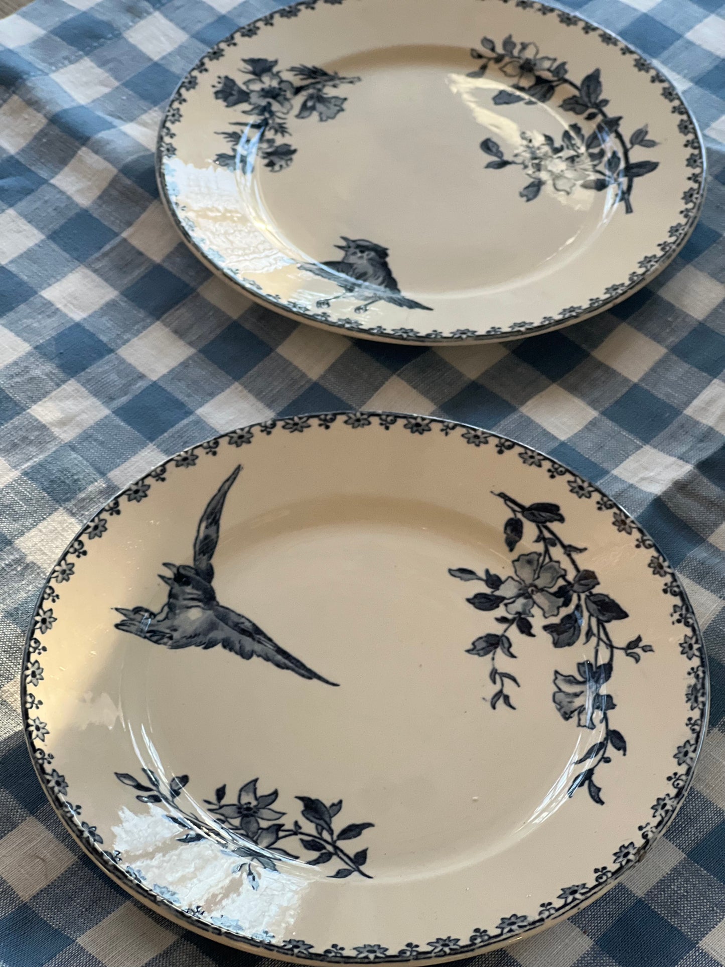 Set of 2 French Salad Plates "Favori" by Sarreguemines