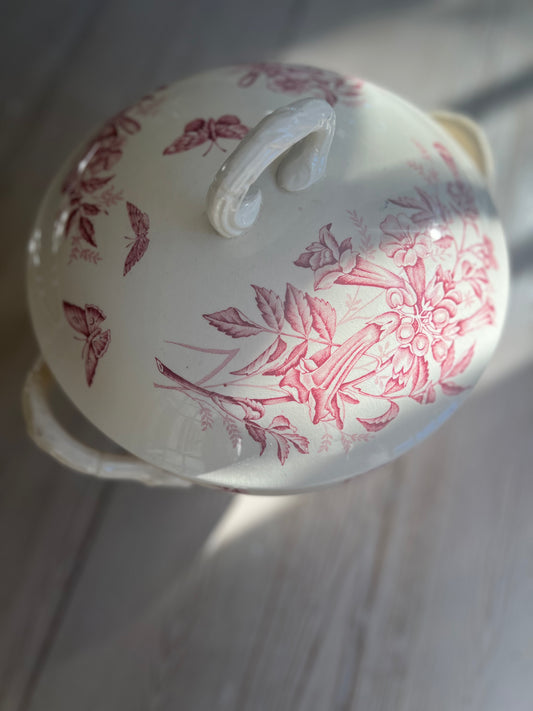 French Iron Stone Tureen "Jasmin de Virginie" by Badonvillier