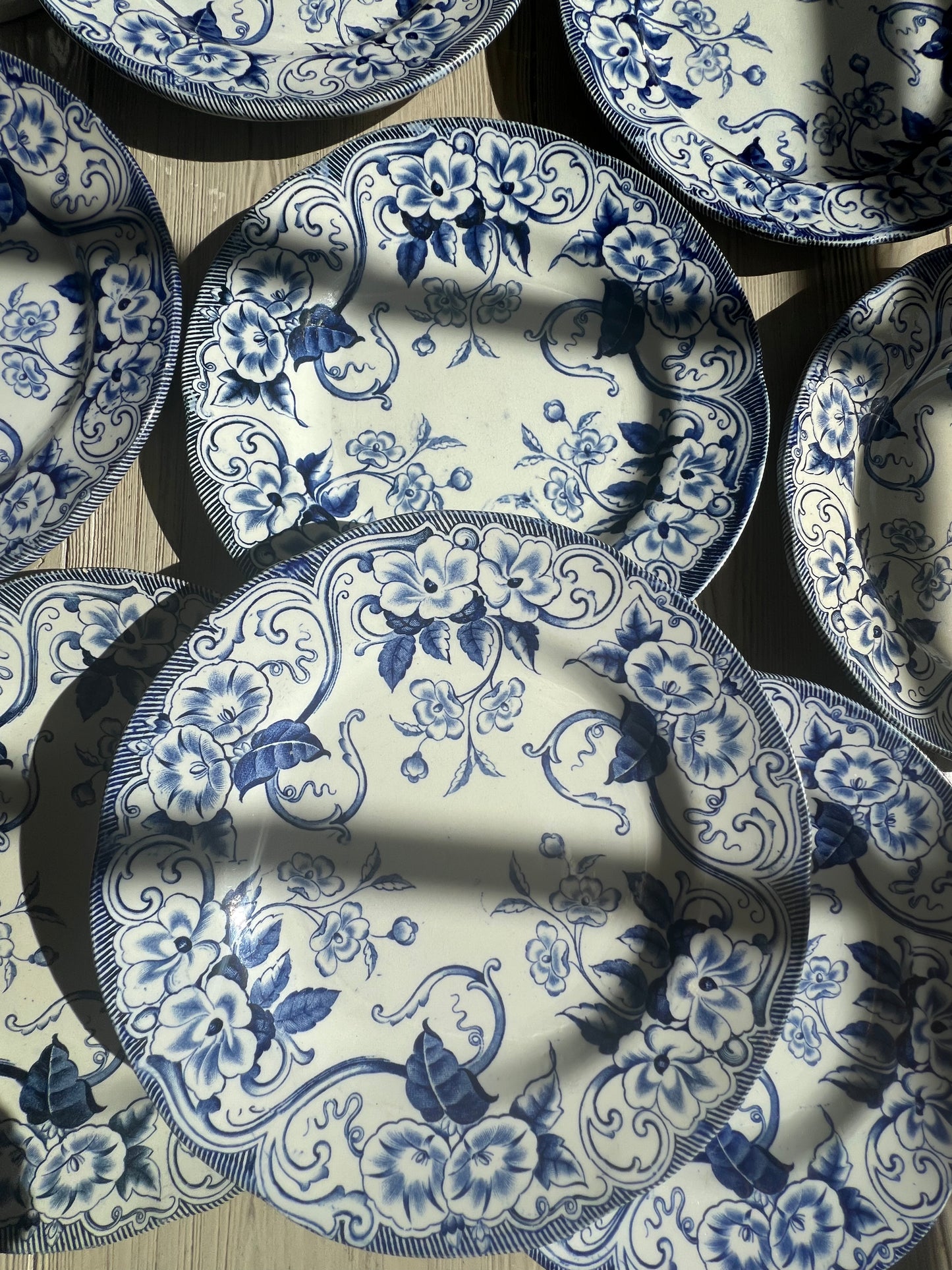 Set of 8 Antique French Ironstone Salad Plates “Flora” by Creil et Montereau