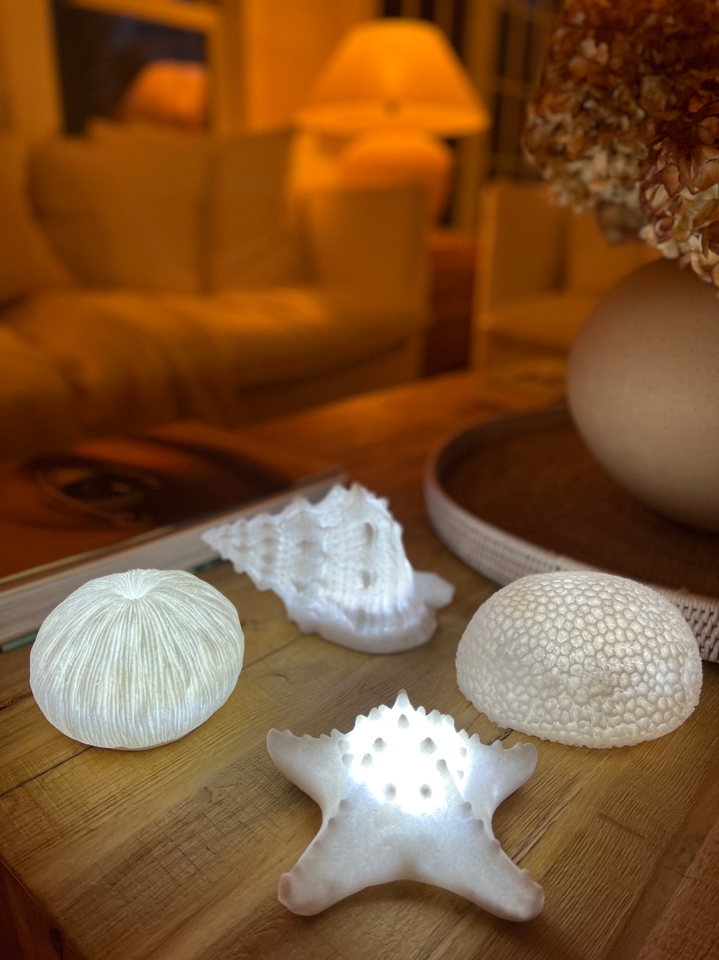 Sandstone Mushroom Coral Light Box