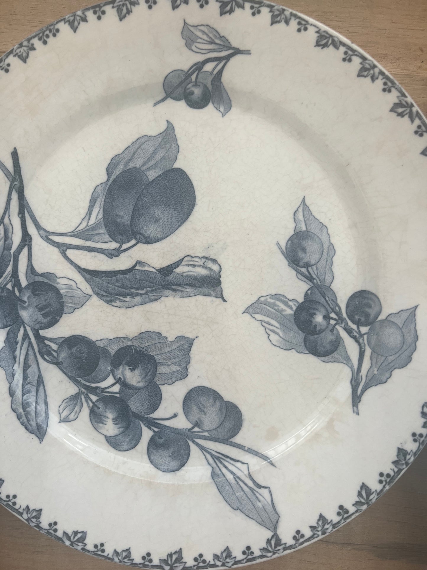 Set of 6 French Ironstone Plates "Prunes" by Sarreguemines