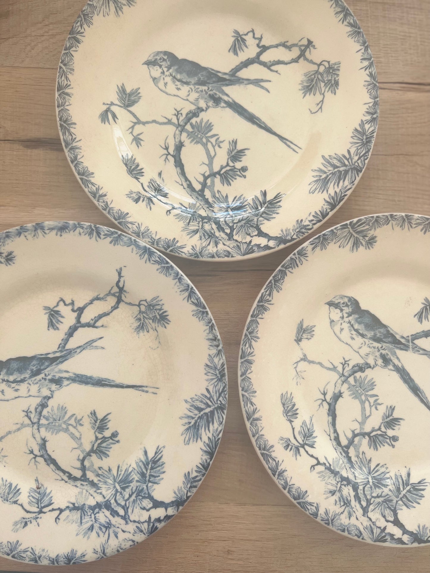 Set of 3 French Ironstone Salad Plates "Provençal" by Gien