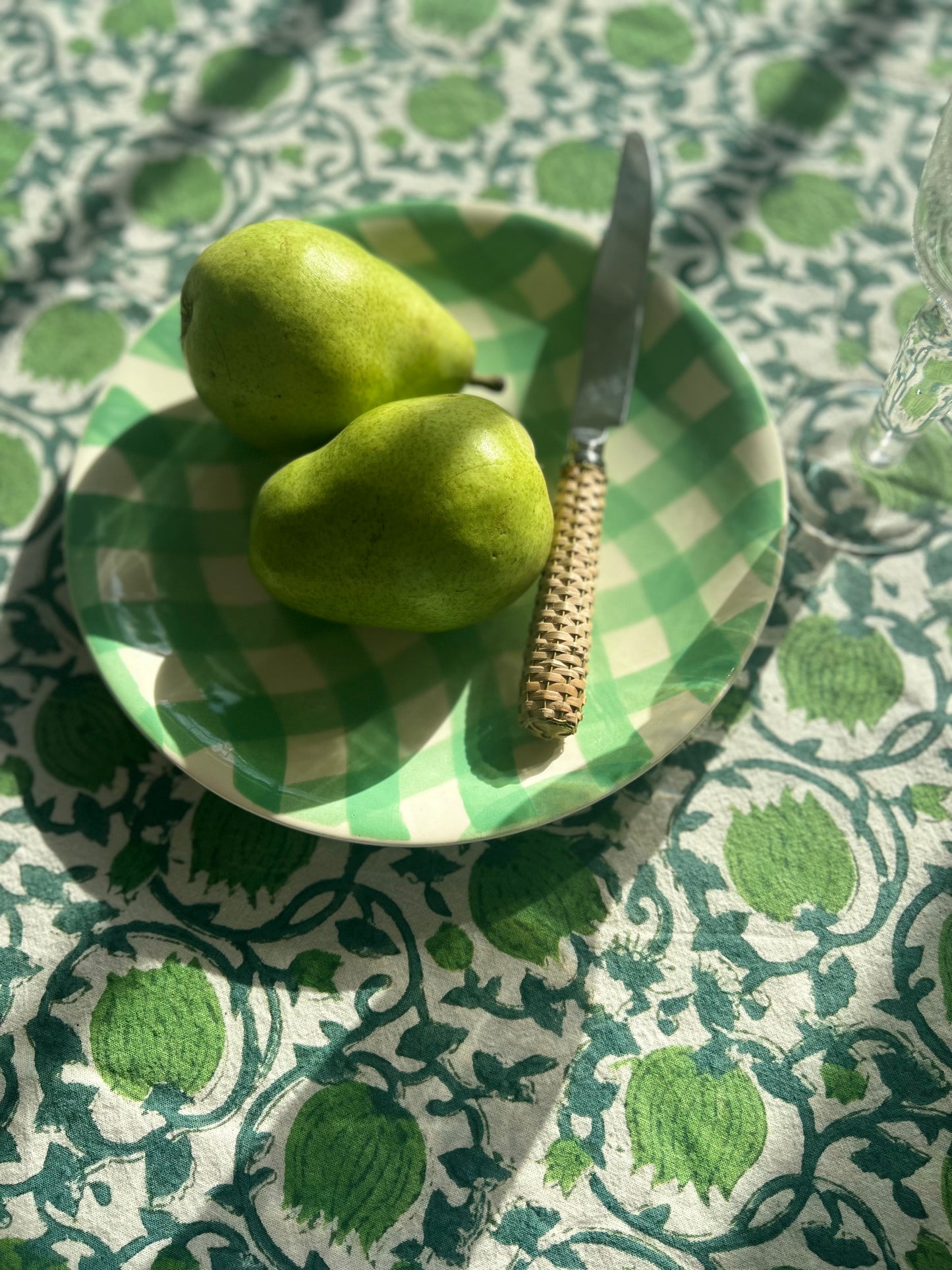 Set of 2 Vintage Gingham Dinner Plates in Mint Greens by Salins