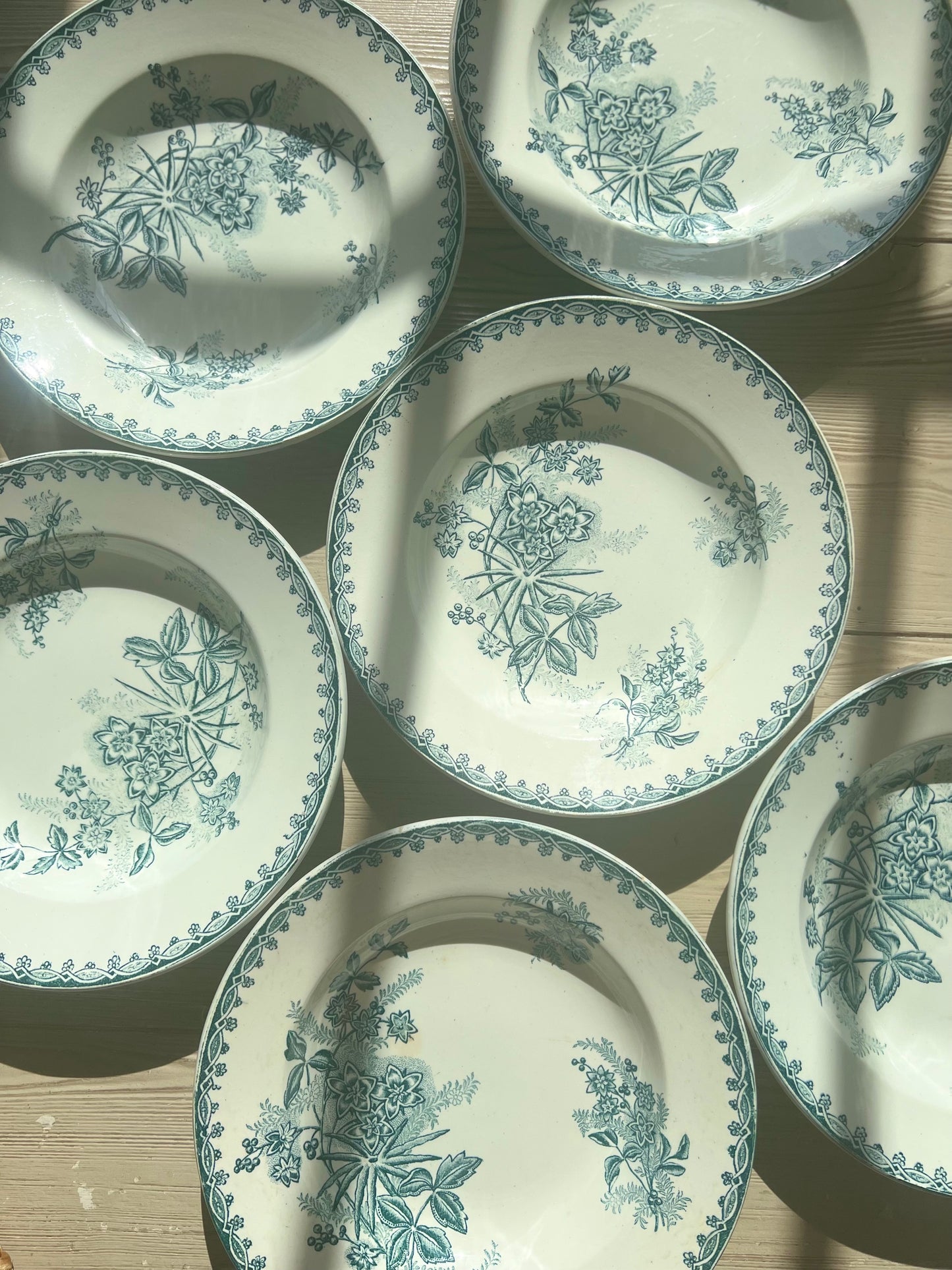 Set of 6 French Ironstone Plates "Margot" by Amandinoise