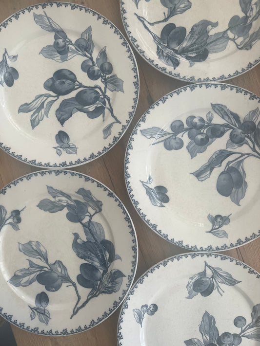 Set of 6 French Ironstone Plates "Prunes" by Sarreguemines
