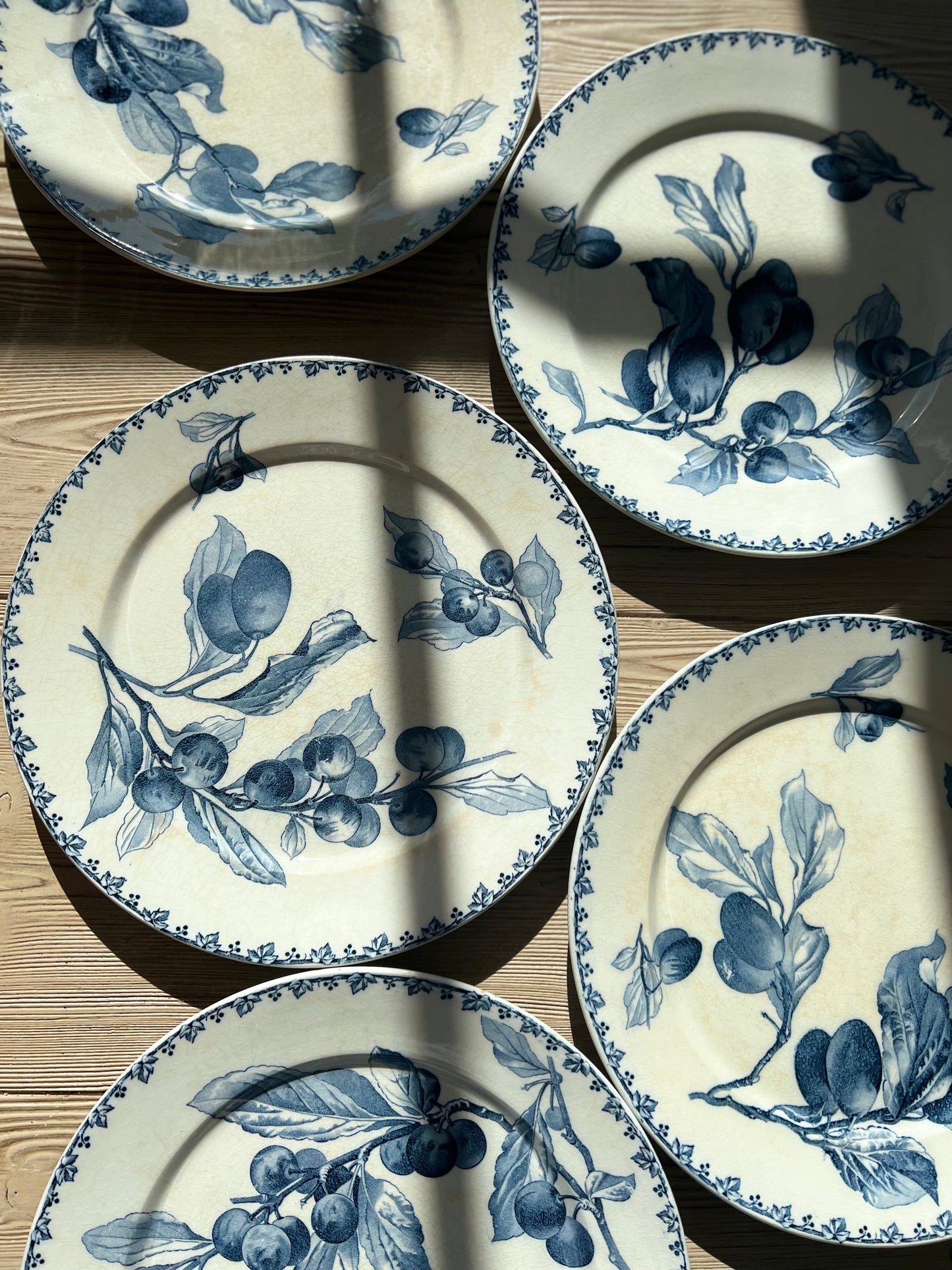 Set of 6 French Ironstone Plates "Prunes" by Sarreguemines