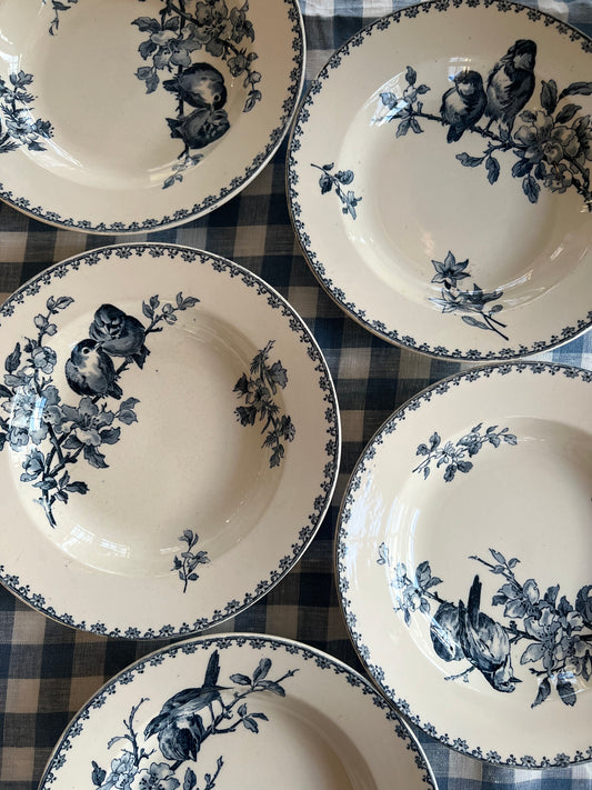 Set of 5 French Ironstone Soup Plates "Favori" by Sarreguemines