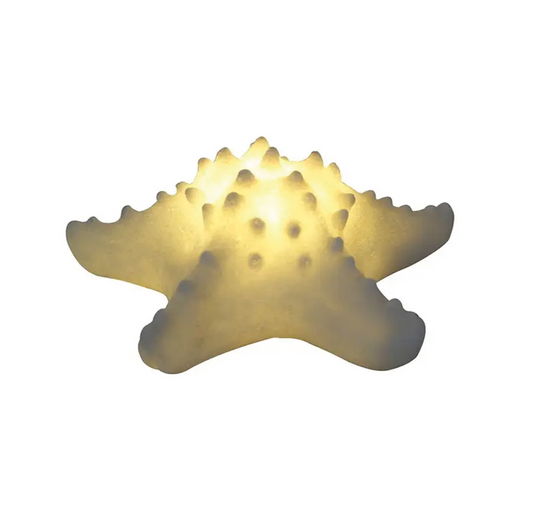 Sandtstone Starfish Light Box